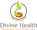 Divine Health Plus: VibePlates and Supplements for Better Health