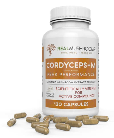 Real Mushrooms Cordyceps 120 Count